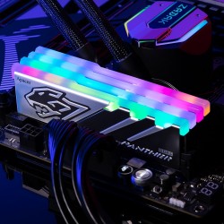 Пам'ять 16GB x2 (32GB kit) DDR5 5600MHz Apacer Panther RGB (AH5U32G56C5229BAA-2)