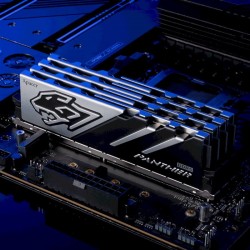 Пам'ять 16GB x2 (32GB kit) DDR5 5600MHz Apacer Panther (AH5U32G56C5227BAA-2)
